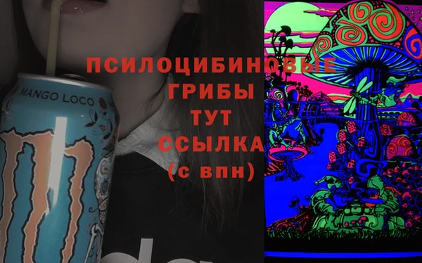 мяу мяу мука Надым