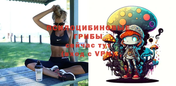 дживик Навашино